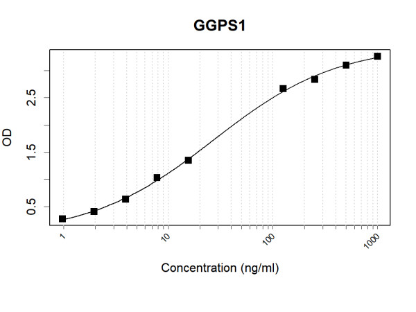 Anti-Human GGPS1 Antibody Pair