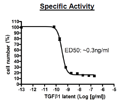 TGFbeta1, latent human recombinant protein, His-tag