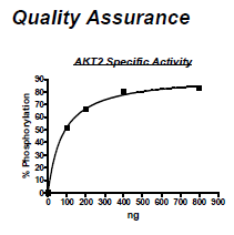 Akt2 active, active human recombinant protein