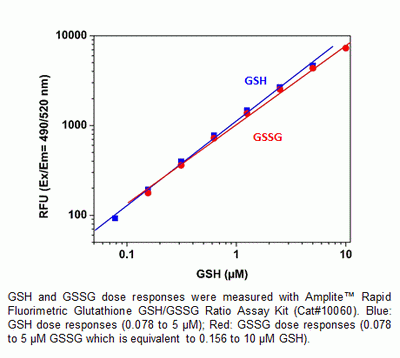 Amplite(TM) Rapid Fluorimetric Glutathione GSH/GSSG Ratio Assay Kit *Green Fluorescence*