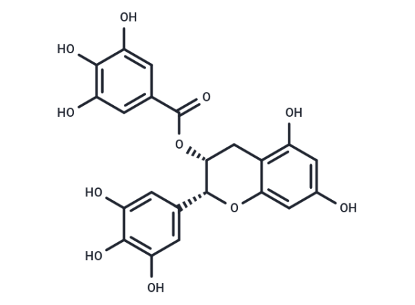 (-)-Epigallocatechin Gallate