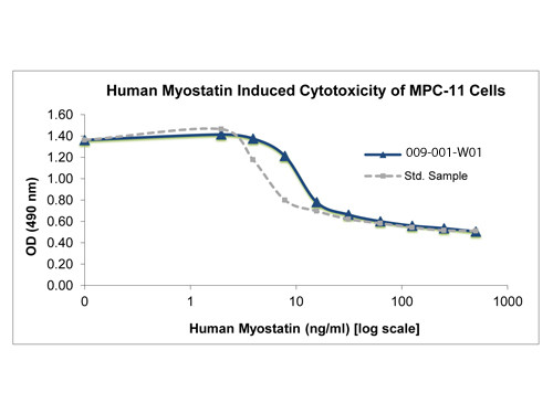 Myostatin