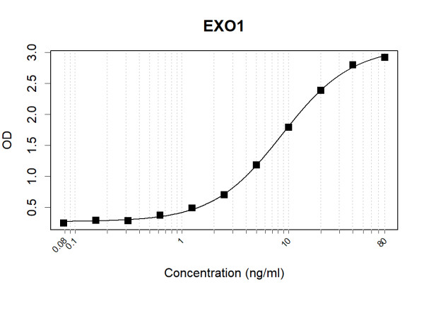 Anti-Human EXO1 Antibody Pair