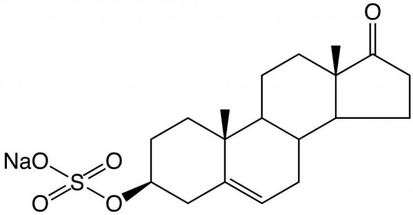 DHEA Sulfate