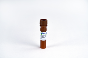 Mouse Anti-Human IgG Fab Antibody (12H3C4A6)[HRP], mAb