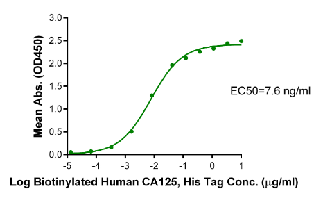 MSLN/Mesothelin(296-591), His, Human
