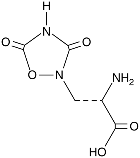 L-Quisqualic Acid