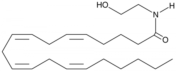 Arachidonoyl Ethanolamide MaxSpec(R) Standard