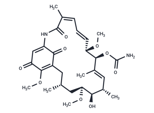 Geldanamycin