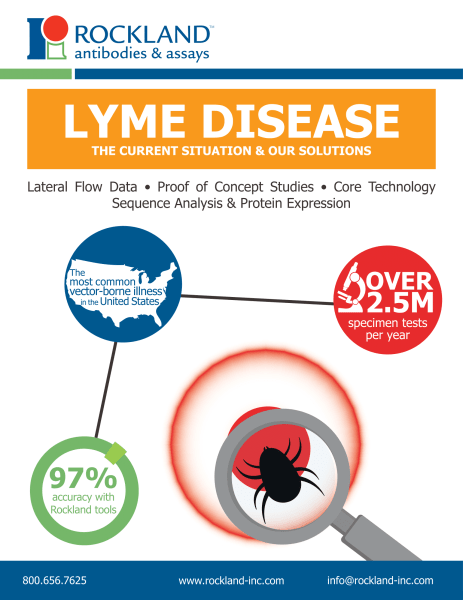  Lyme Disease