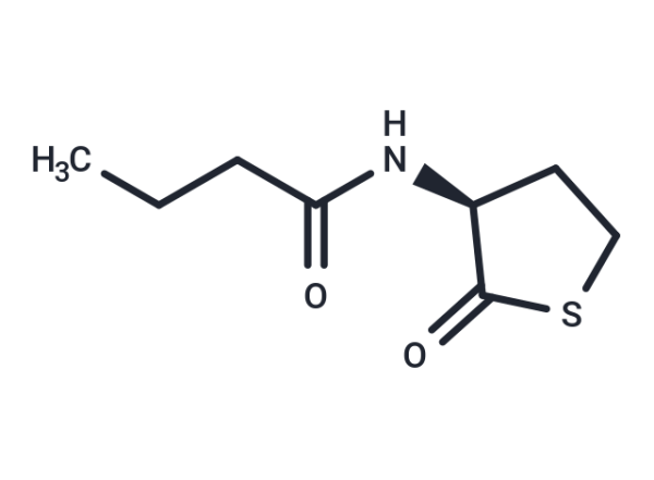 N-butyryl-L-Homocysteine thiolactone