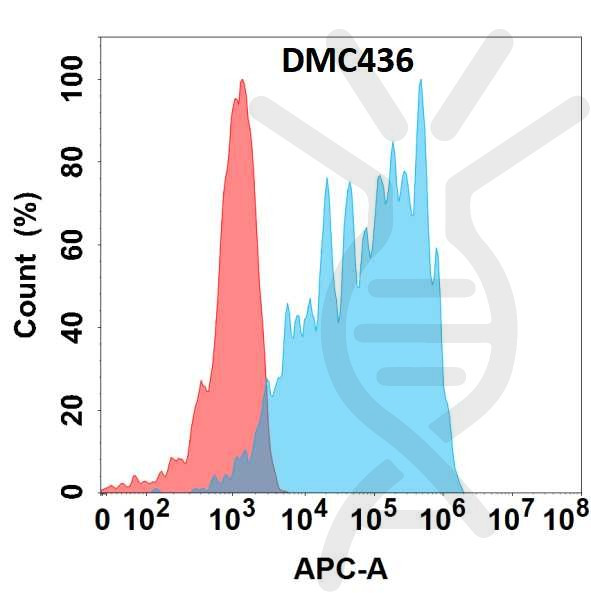 Anti-CD83 antibody(DMC436), IgG1 Chimeric mAb