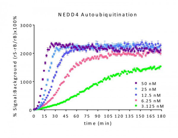Nedd4 E3 Ligase TR-FRET Kit