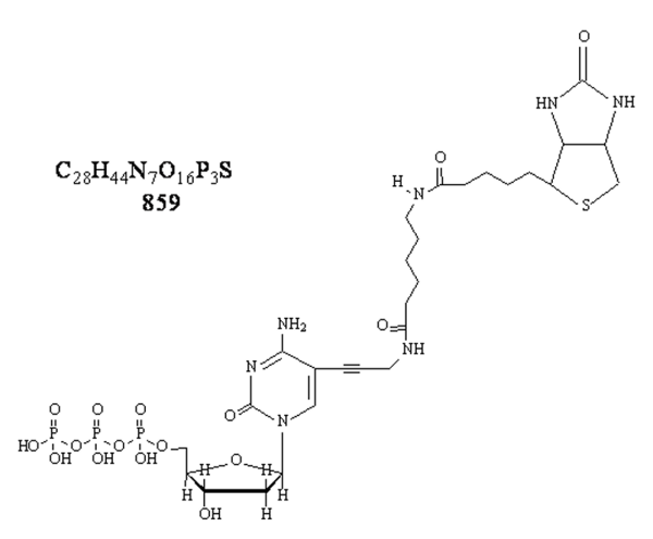 Biotin-11-dCTP