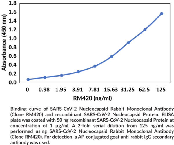 Anti-SARS-CoV-2 Nucleocapsid Rabbit (Clone RM