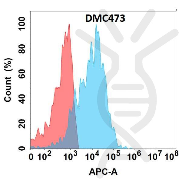 Anti-EMCN antibody(DMC473), IgG1 Chimeric mAb