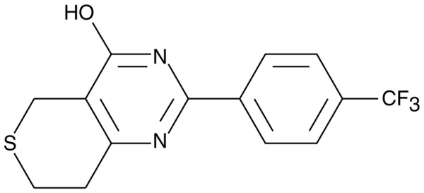 XAV939