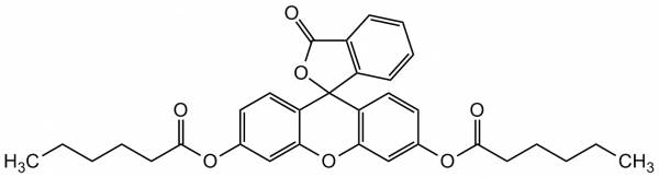 Fluorescein dicaproate