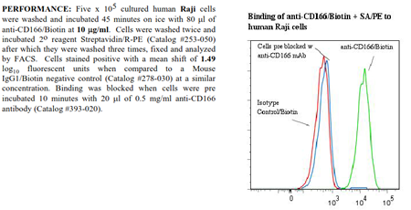 Anti-CD166 (human), clone 3A6, Biotin conjugated