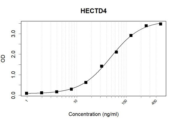 Anti-Human HECTD4 Antibody Pair