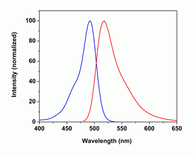 Annexin V, FITC Labeled