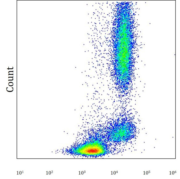 Anti-TREM1, clone 6B1