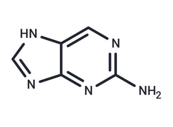 2-Aminopurine