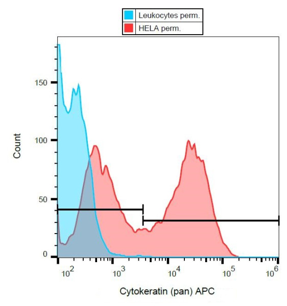 Anti-Cytokeratin (Pan-reactive), clone C-11 (APC)