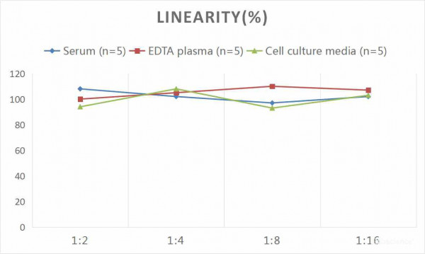 Human C4 (Complement Component 4) CLIA Kit