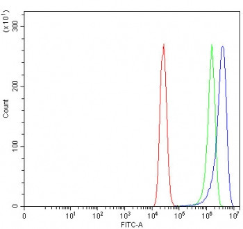 Anti-LSR / Lipolysis-stimulated lipoprotein receptor