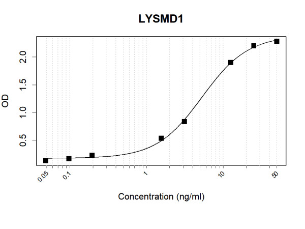 Anti-Human LYSMD1 Antibody Pair