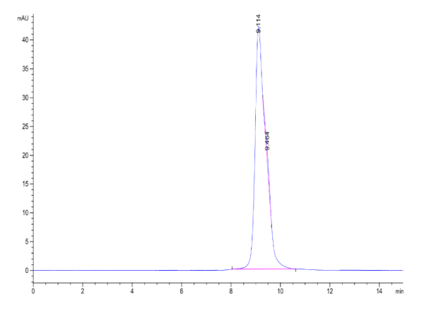 Human HLA-A*02:01&amp;B2M&amp;TERT (ILAKFLHWL) Monomer Protein
