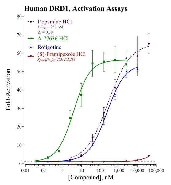 DRD1 Reporter Assay System (human)