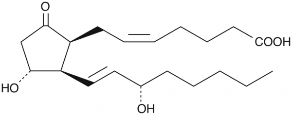 8-iso Prostaglandin E2