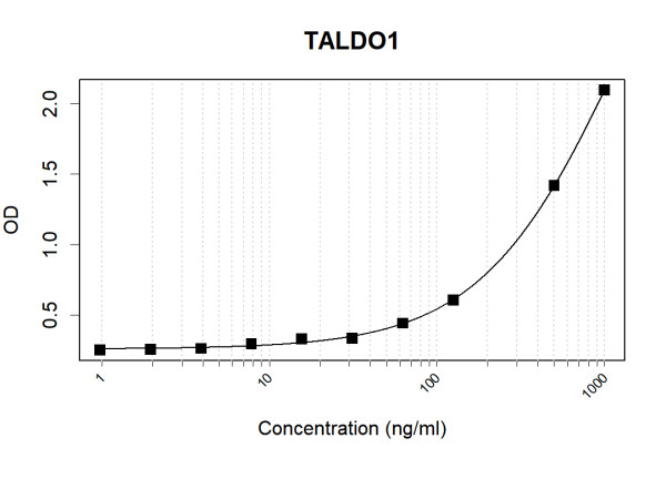 Anti-Human TALDO1 Antibody Pair