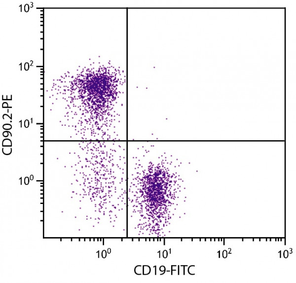 Anti-CD90.2 (PE), clone 30-H12