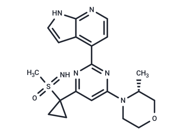 Ceralasertib