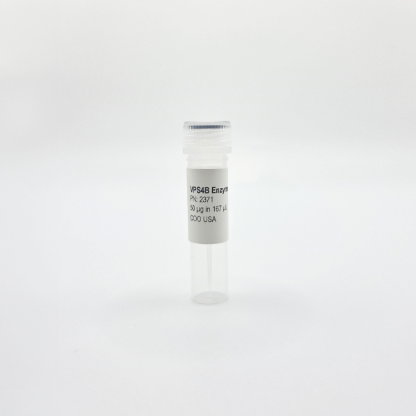 Recombinant VPS4B, Active, Human