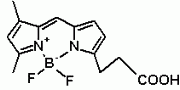 Bodi Fluor(TM) 488 acid [equivalent to Bodipy(R) FL] *CAS 126250-42-8*