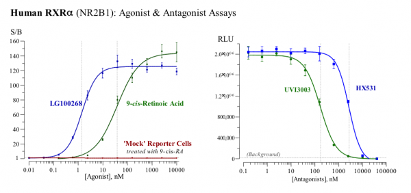 RXRalpha (human) Reporter Assay Kit