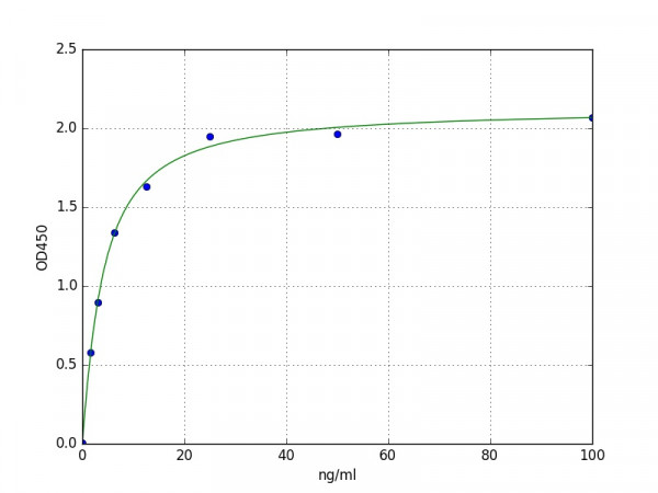 Human Ribonuclease 7 / RNASE7 ELISA Kit