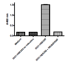 hIDO1-HEK293 Recombinant Cell line