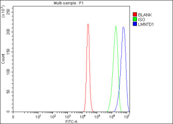 Anti-LMNTD1 / Lamin tail domain-containing protein 1