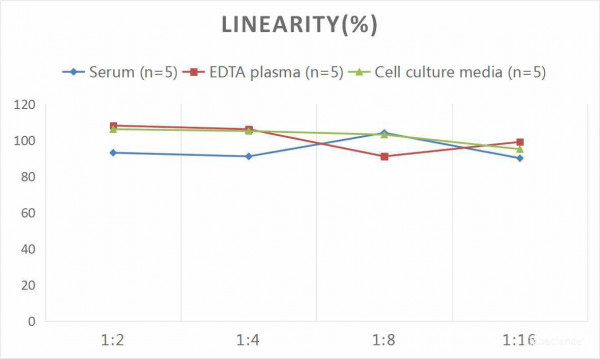 Human BRAK/CXCL14 (Breast and Kidney Expressed Chemokine) CLIA Kit