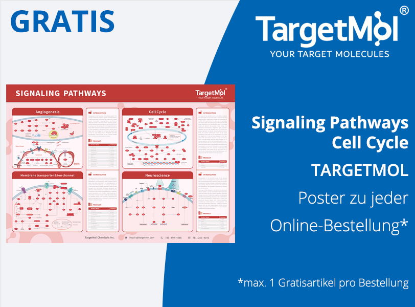 Signaling Pathways Cell Cycle