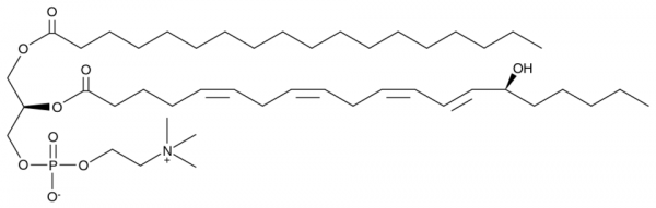 1-Stearoyl-2-15(S)-HETE-sn-glycero-3-PC