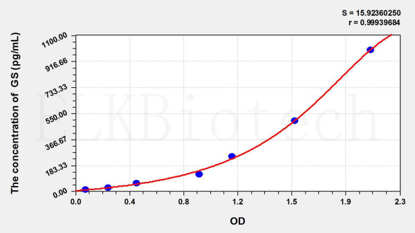 Rat GS (Glutamine synthetase) ELISA Kit