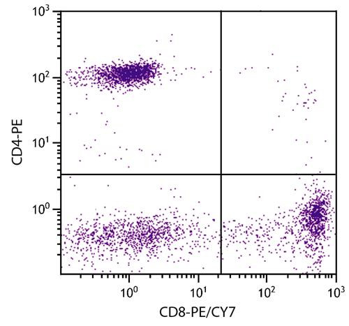 Anti-CD8 (PE-Cy7), clone RFT8