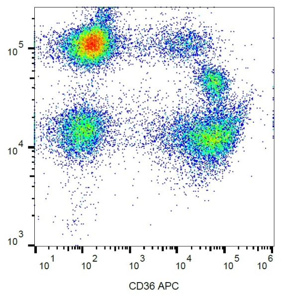 Anti-CD36, clone TR9 (APC)