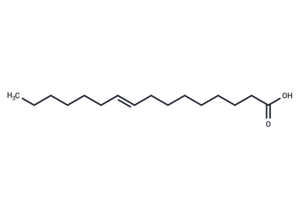 Palmitelaidic Acid